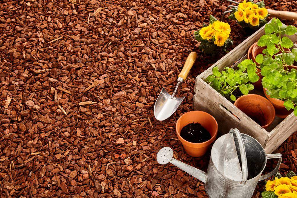 Planting pots, trowel, steel watering can and wooden box full of seedlings over red pine bark mulch with copy space outdoors