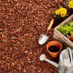 Planting pots, trowel, steel watering can and wooden box full of seedlings over red pine bark mulch with copy space outdoors