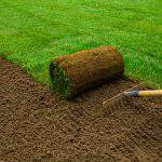 Gardener applying turf rolls in the backyard