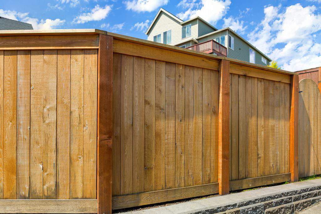 House backyard new wood fence with gate door in suburban residential neighborhood
