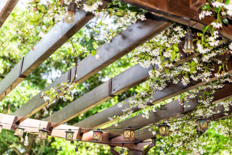 Closeup of patio outdoor spring flower garden in backyard porch of home, zen with pergola canopy wooden gazebo, plants
